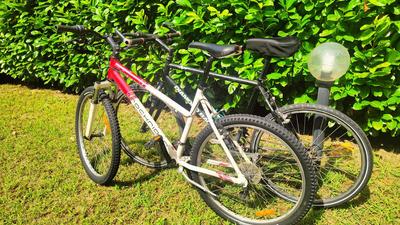 cosycasa & free bike