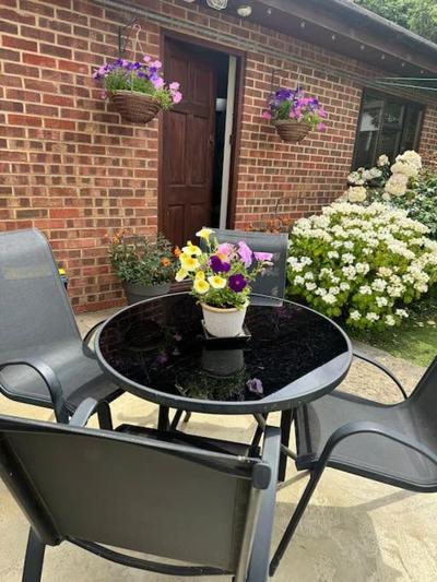 Garden flat in London