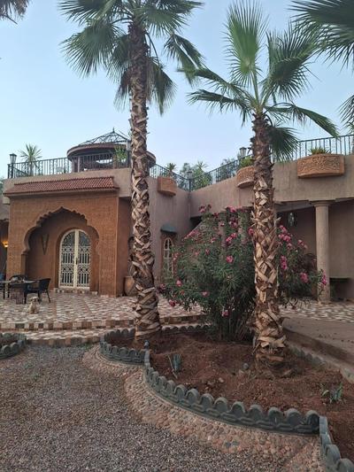 Eden Suite
