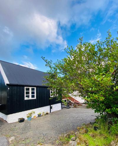 Charming house downtown - the whole house or a bedroom - you choose!