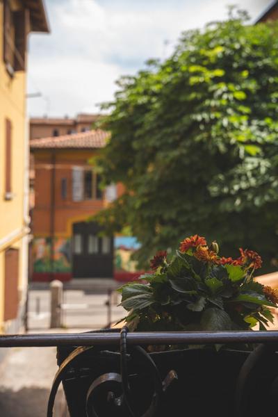 Casa Garo'