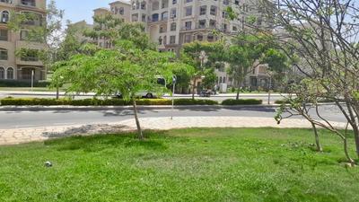 Comfortable home in Madinaty