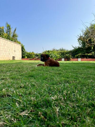 Descanso del GUERRERO