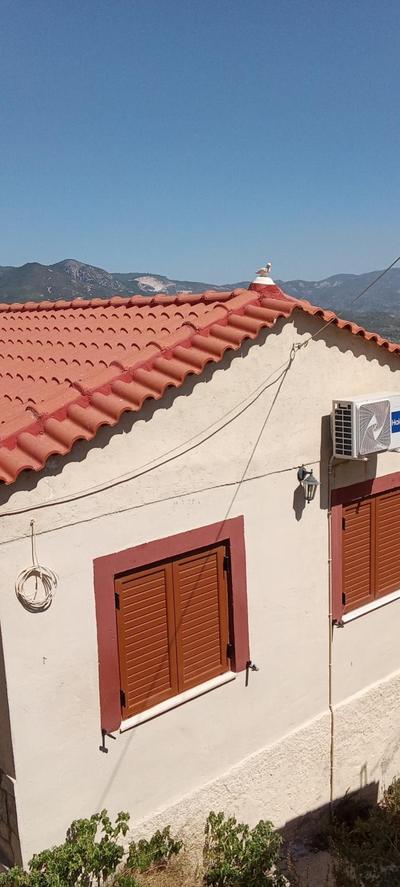 Tania's House