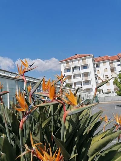 Mare Verde Alloggio con terrazza
