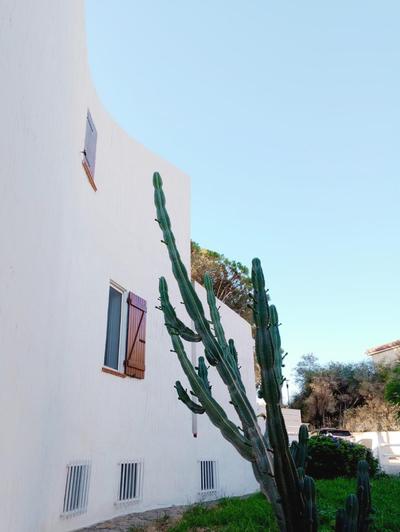 Villa Anna 300 m dal mare