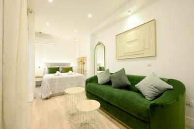 Estudio Málaga Center Living