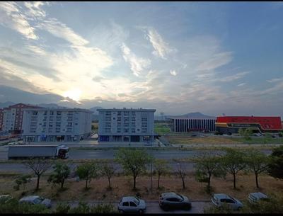 Obilex