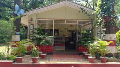 Pachmarhi Jungle Adventure