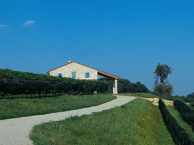 Agriturismo Riva Beata - Podere Cunial appartamenti, produzione e degustazioni vini Asolo Prosecco DOCG