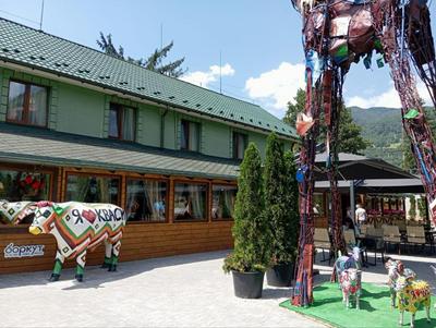 Хостел Васкул