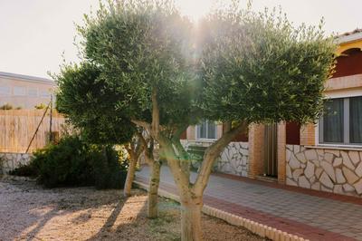 Casa Cayo