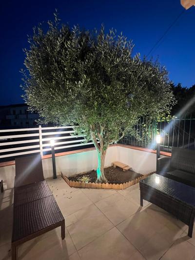 B&B L Ulivo