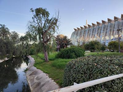 Turia Gardens Rooms - Authentic Valencia Downtown Parklife - VLC Urban Rental