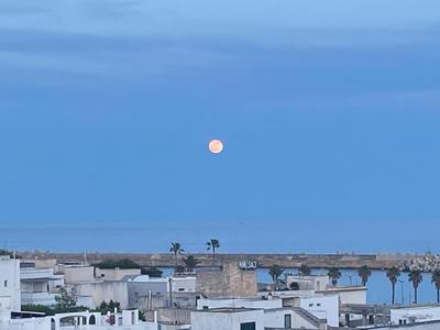 Clara Grace sea view