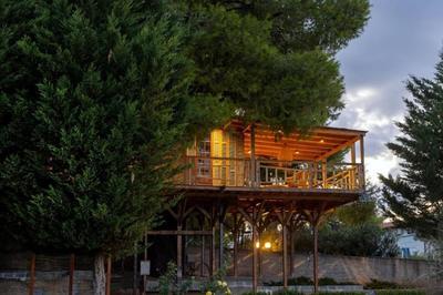 Sani Tree House