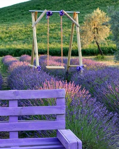 Lavender House by Country Residence