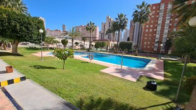 Apartamento Gemelos XII 17 C IF Benidorm