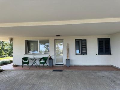Casapunta