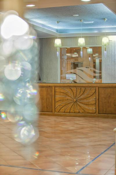 Hotel Rosaleda Don Pedro