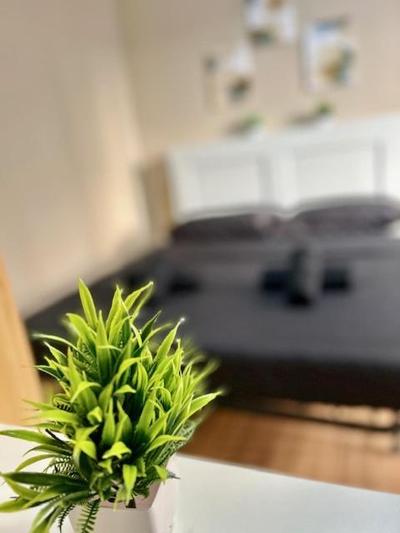 Residence Zar 8