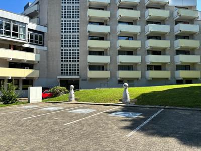 Apartment mit Waldblick