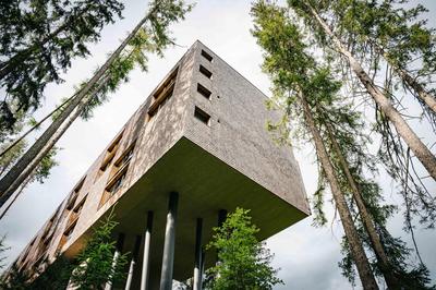 My Arbor - Dolomites