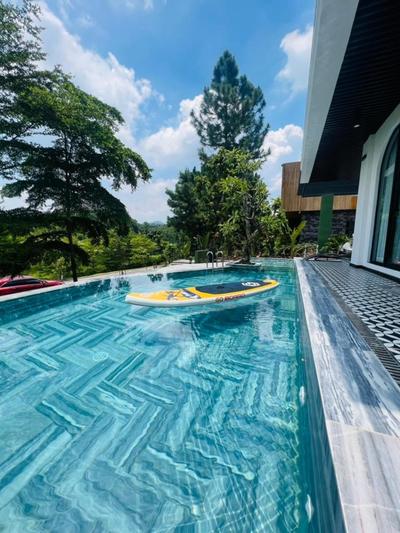 Villa Flamingo Đại Lải