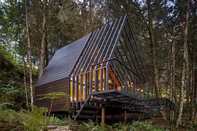 Oculto refugio de bosque