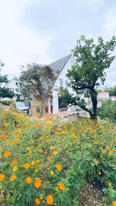 Azalea Villa Dalat - Nghỉ Dưỡng Riêng Tư Yên Tĩnh Giữa Rừng Thông