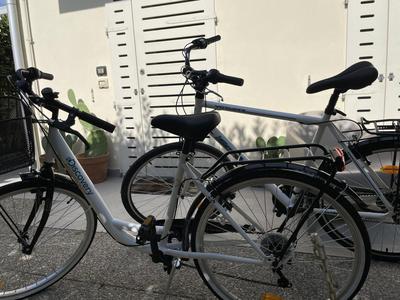 Grazioso Appartamento a Lucca