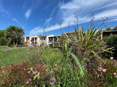 Apartments in Castelnuovo del Garda - Gardasee 50124