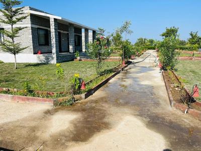 Jawai Safari Stay