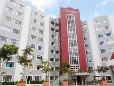 Pine Bristle Homestay