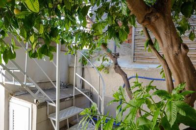 The Tiny House of the Lemon Tree