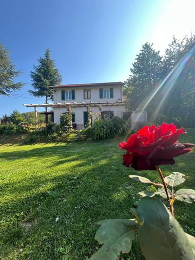 La rosa sul lago