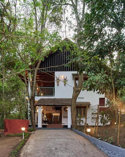 Curly wood by Cluster cloud