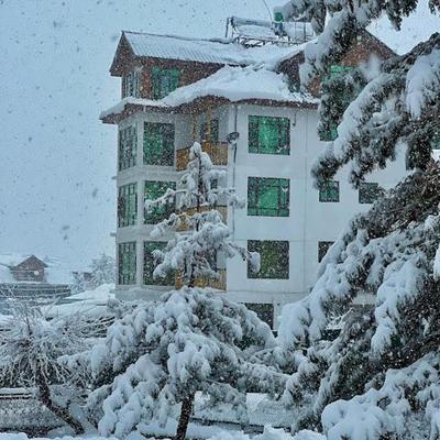 Cozy Comfort Resort