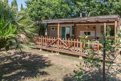 Glamping immerso nel verde