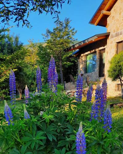 Encanto del Lolog - Hosteria y Resto - San Martin de los Andes