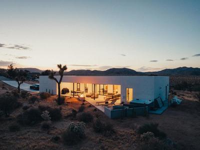 Desert Bloom By The Cohost Company