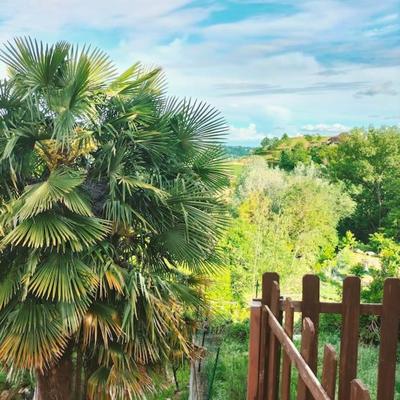 Appartamento in Monferrato di domInga