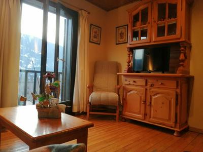 Chimenea, confort moderno y madera - Falcó 2