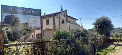 Agriturismo IL VECCHIO OLIVO, Billede 2