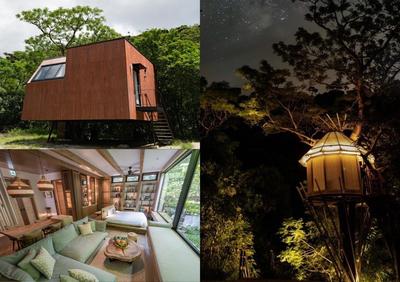 Treeful Treehouse Sustainable Resort