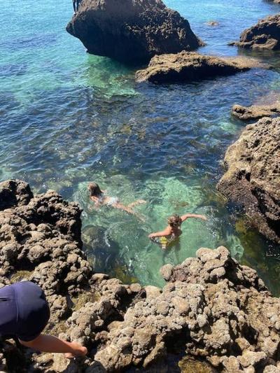 Unique experience for families and nature lovers