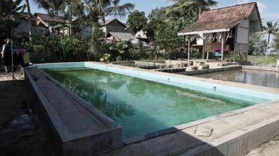 SPOT ON 92699 Irish Irish Homestay