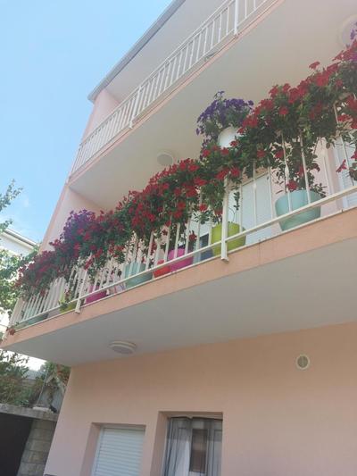 Apartments Dora