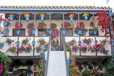 FUENSANTA 19