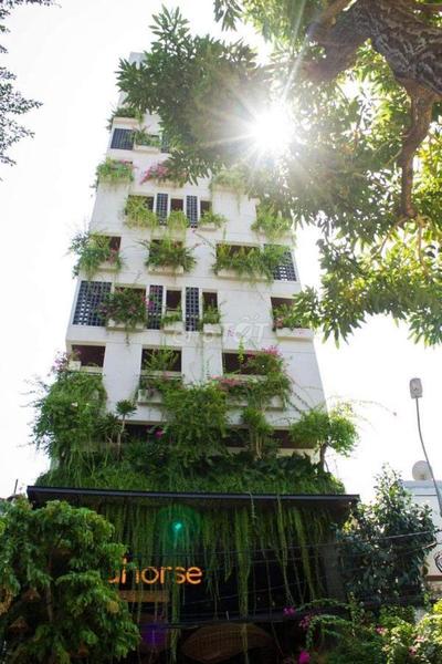 Seahorse Tropical Apartment Da Nang